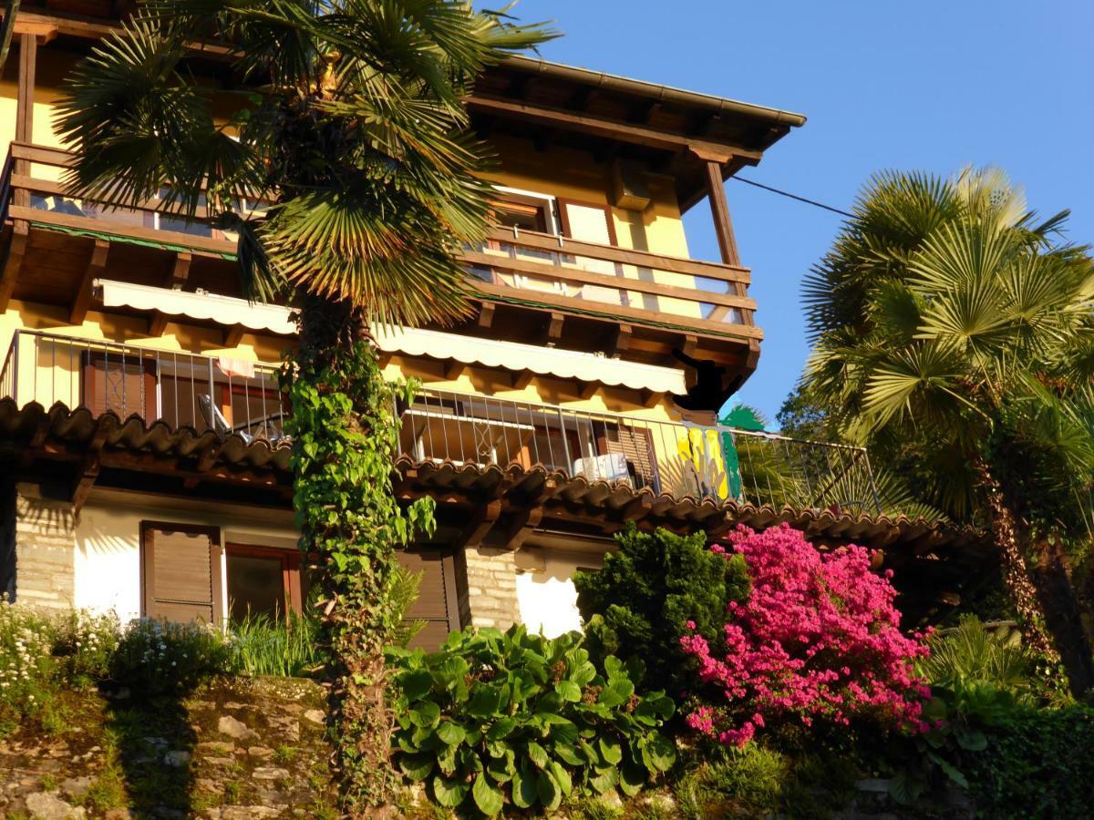Casa Petra 1 1/2 Zi, Orgnana 83 Apartment Gambarogno Exterior photo
